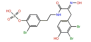 1-O-Sulfohemibastadin 2